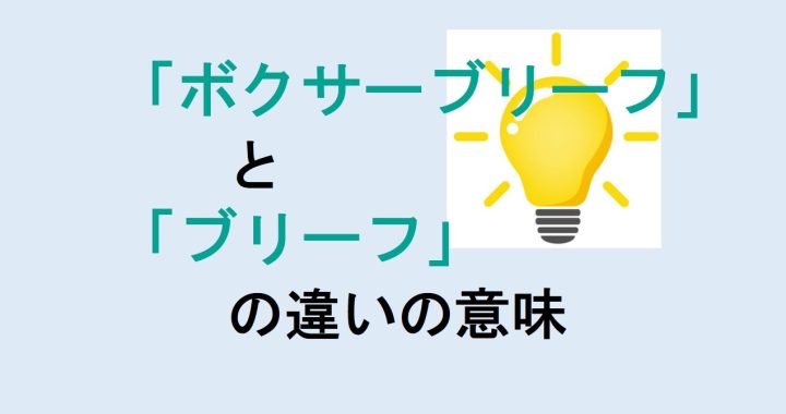 ボクサーブリーフとブリーフの違いの意味を分かりやすく解説！