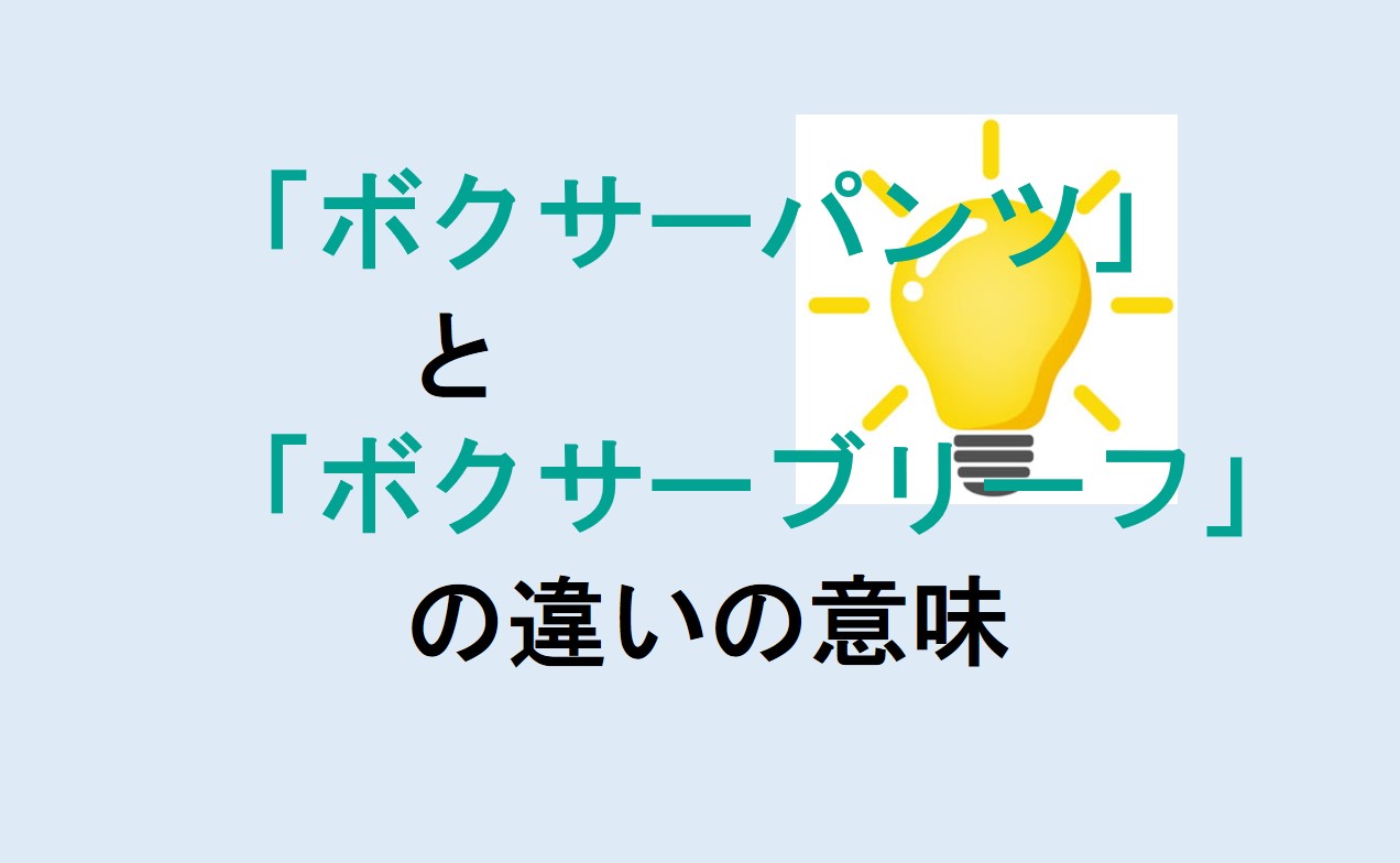 ボクサーパンツとボクサーブリーフの違い