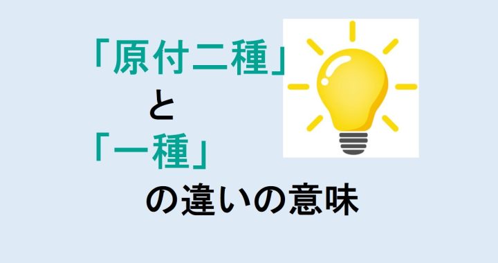 原付二種と一種の違いの意味を分かりやすく解説！