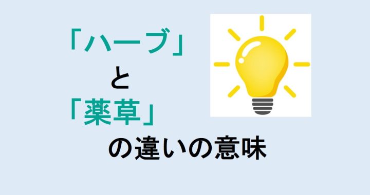 ハーブと薬草の違いの意味を分かりやすく解説！