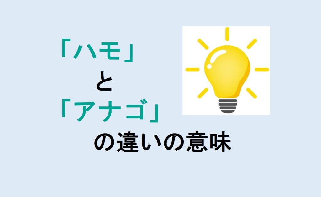 ハモとアナゴの違い