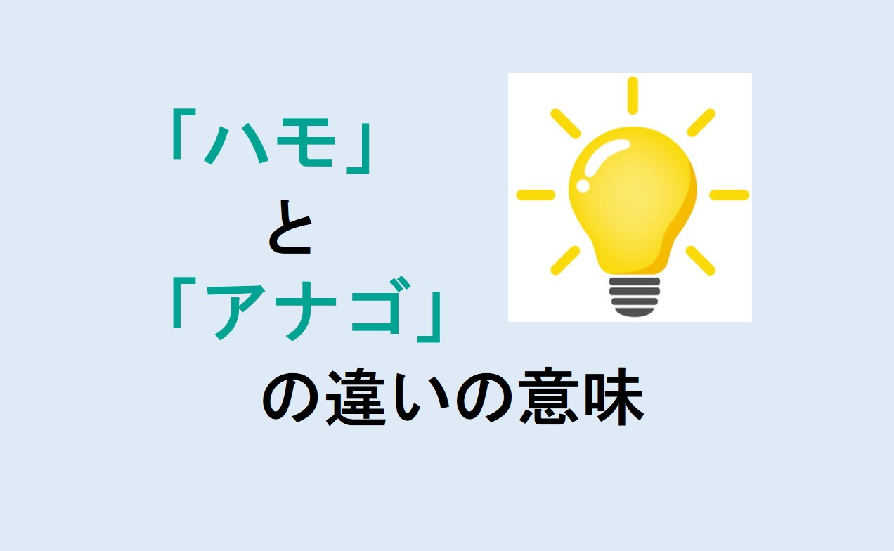 ハモとアナゴの違い