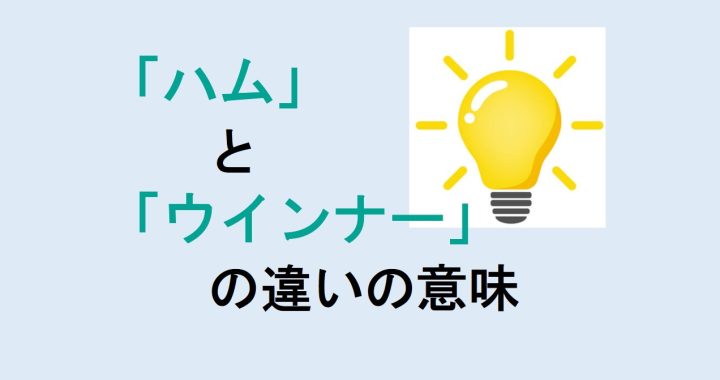 ハムとウインナーの違いの意味を分かりやすく解説！