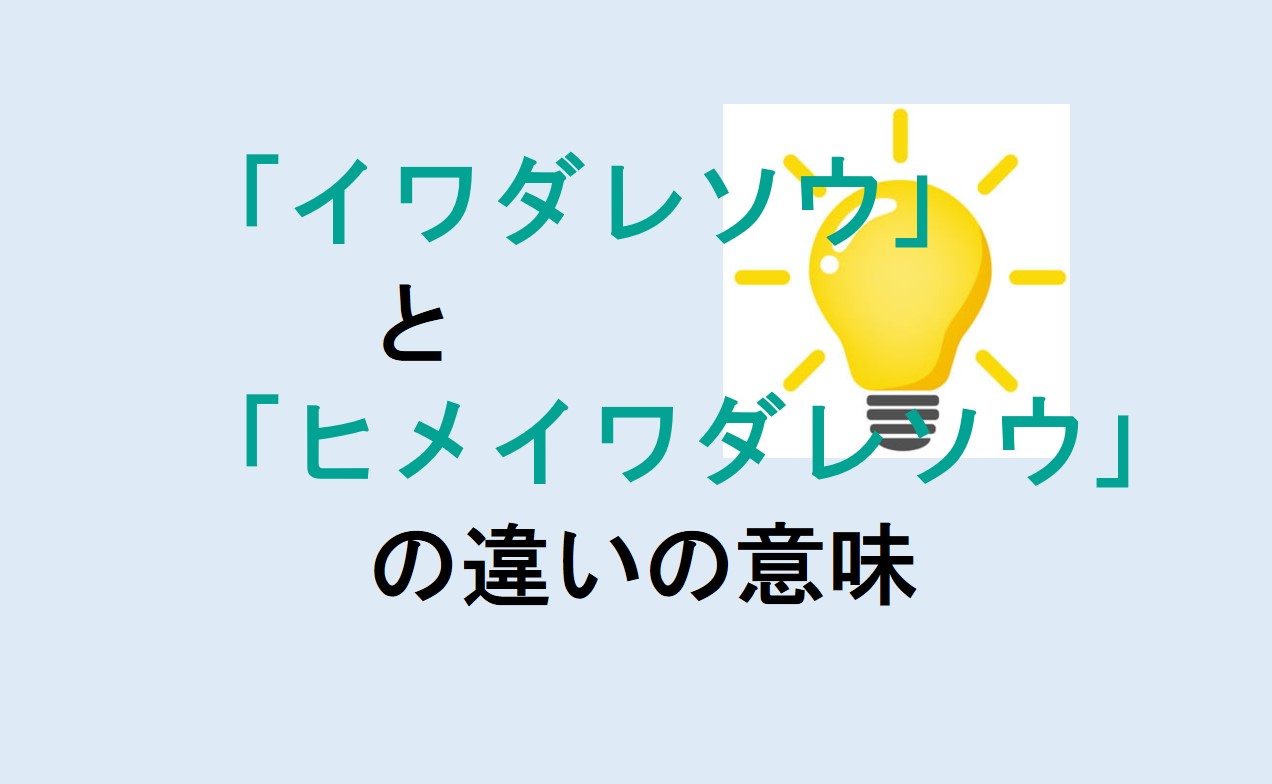 イワダレソウとヒメイワダレソウの違い