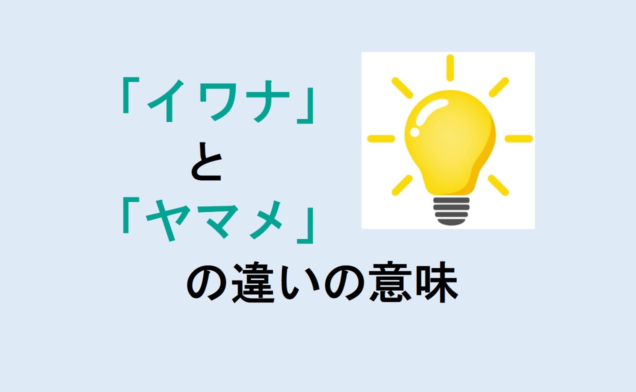 イワナとヤマメの違い