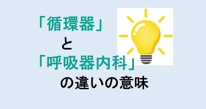 循環器と呼吸器内科の違いの意味を分かりやすく解説！