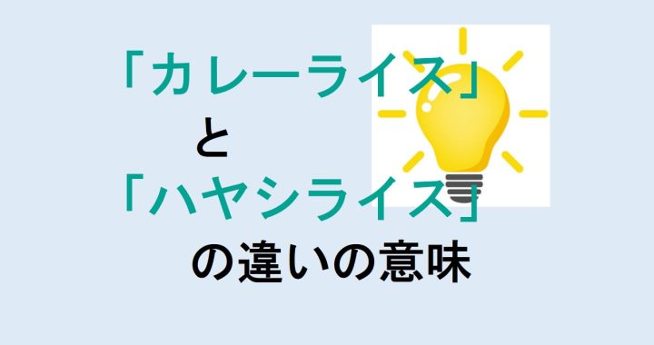 カレーライスとハヤシライスの違いの意味を分かりやすく解説！