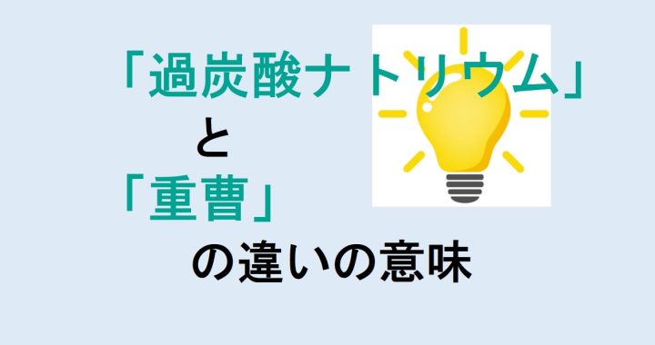 過炭酸ナトリウムと重曹の違いの意味を分かりやすく解説！