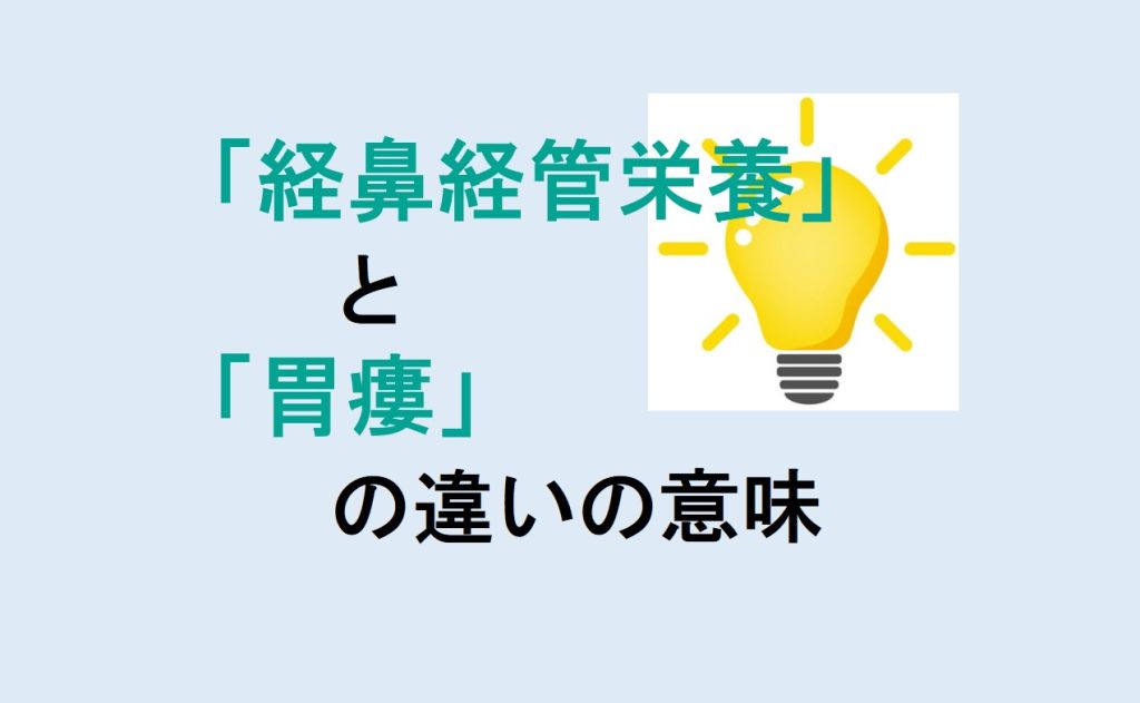 経鼻経管栄養と胃瘻の違い