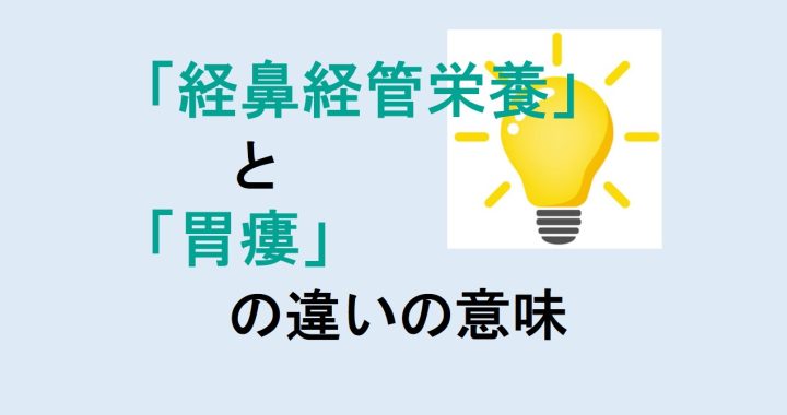 経鼻経管栄養と胃瘻の違いの意味を分かりやすく解説！