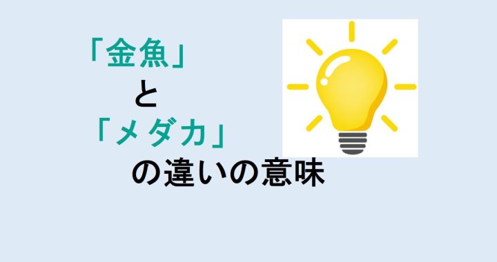 金魚とメダカの違いの意味を分かりやすく解説！