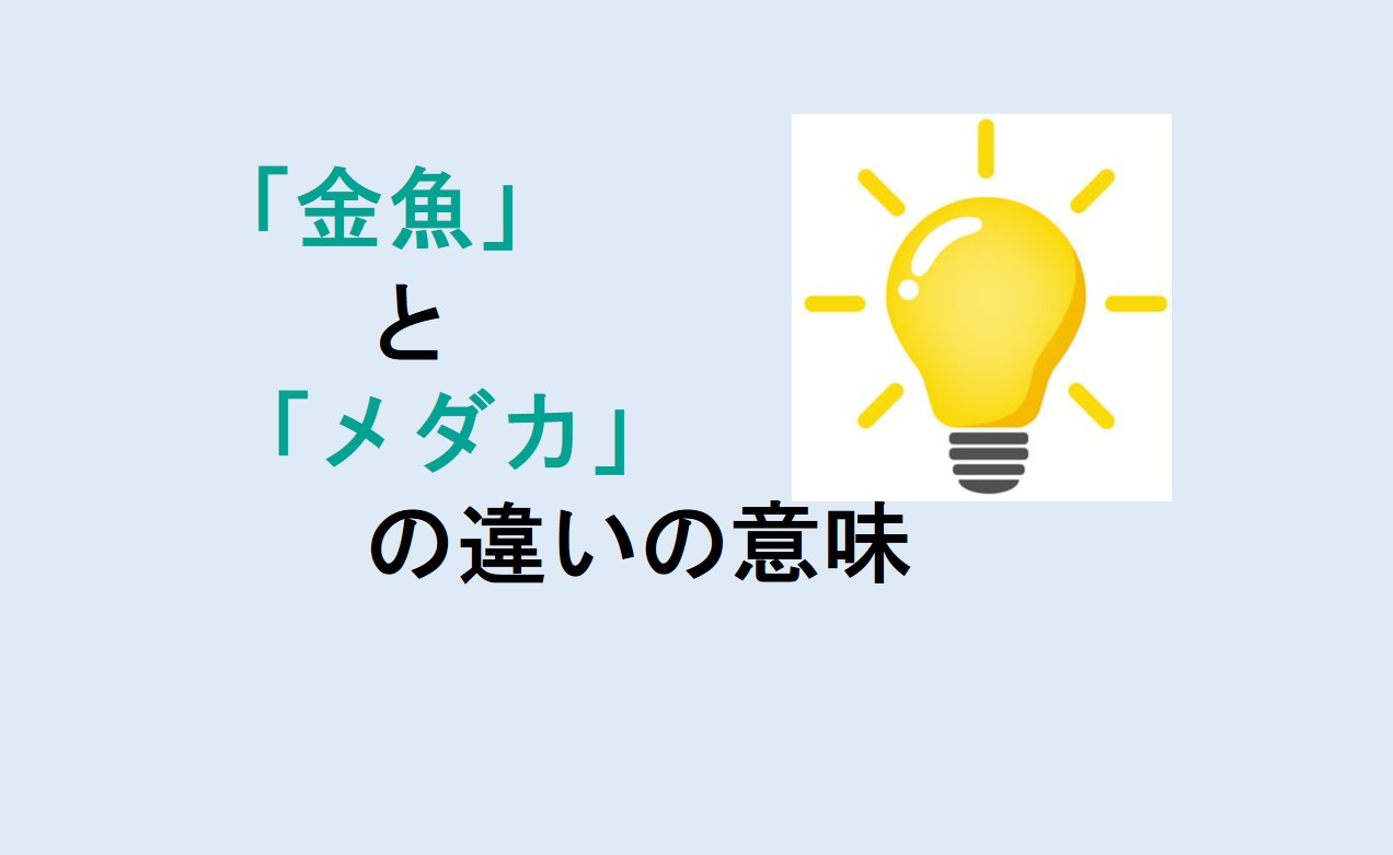 金魚とメダカの違い