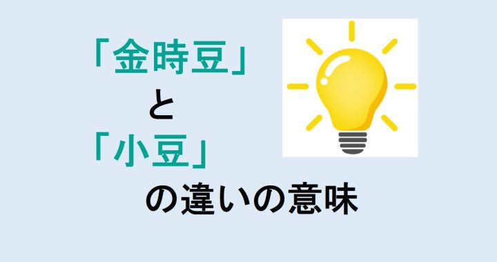 金時豆と小豆の違いの意味を分かりやすく解説！