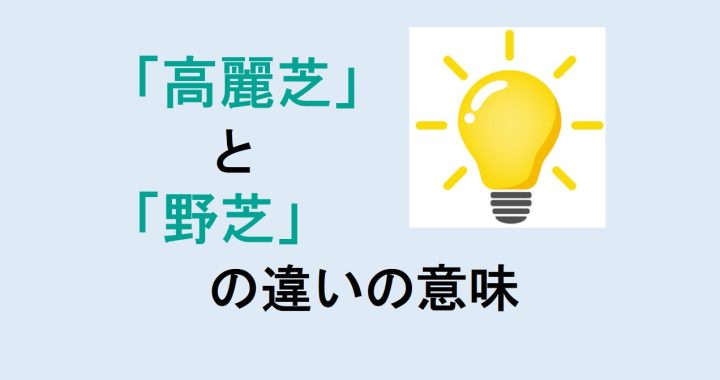 高麗芝と野芝の違いの意味を分かりやすく解説！