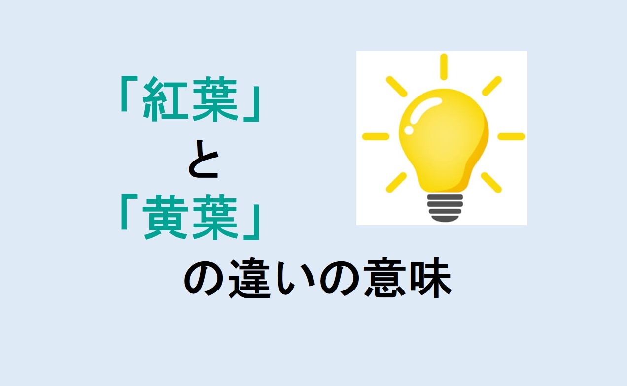 紅葉と黄葉の違い