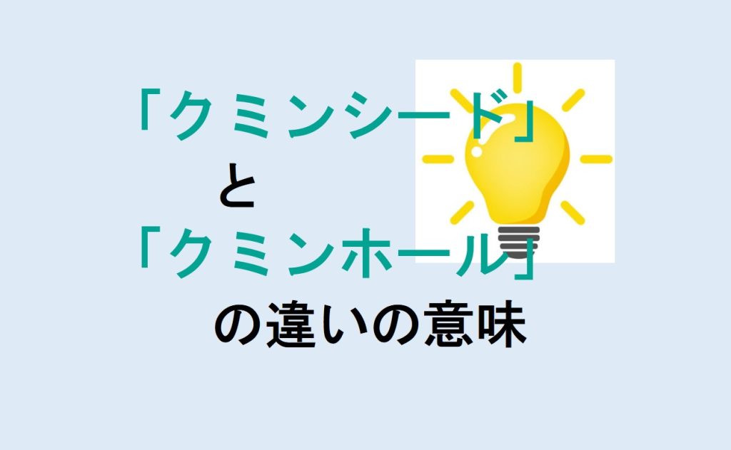 クミンシードとクミンホールの違い
