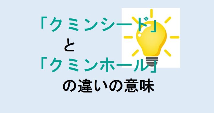 クミンシードとクミンホールの違いの意味を分かりやすく解説！