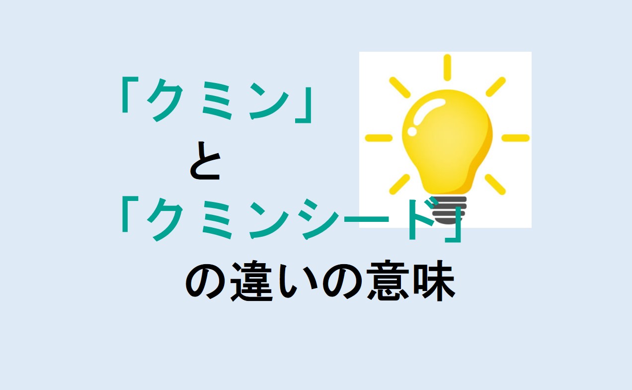 クミンとクミンシードの違い