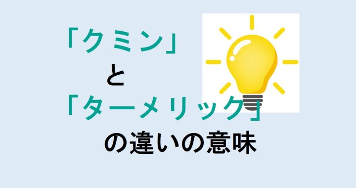 クミンとターメリックの違いの意味を分かりやすく解説！