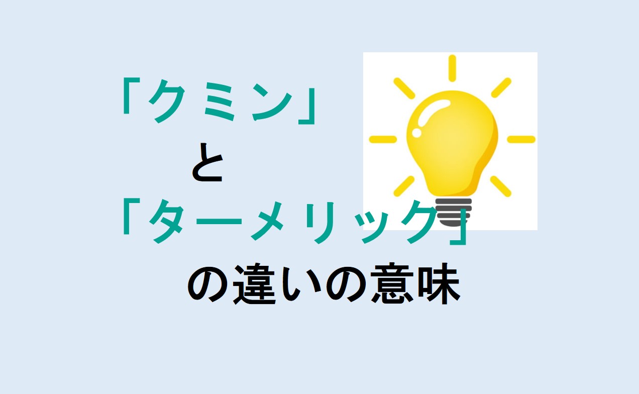 クミンとターメリックの違い