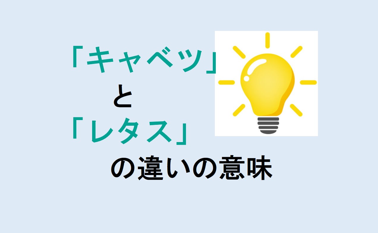 キャベツとレタスの違い