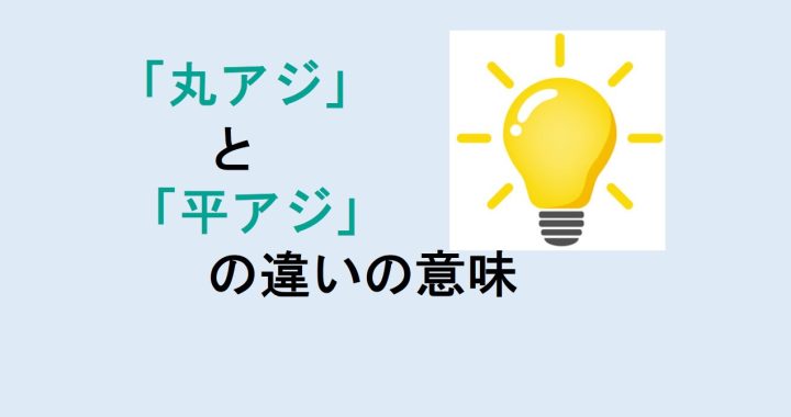 丸アジと平アジの違いの意味を分かりやすく解説！