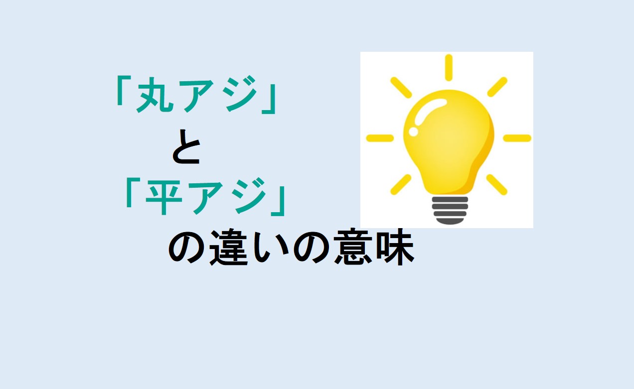 丸アジと平アジの違い