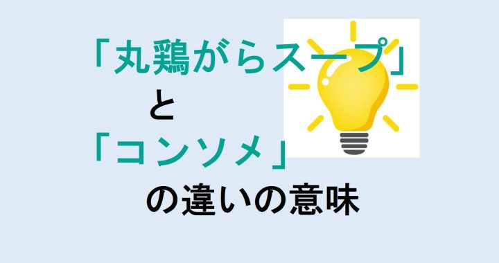 丸鶏がらスープとコンソメの違いの意味を分かりやすく解説！