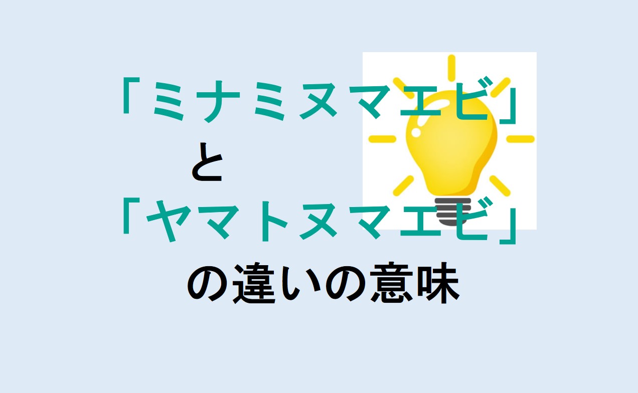 ミナミヌマエビとヤマトヌマエビの違い