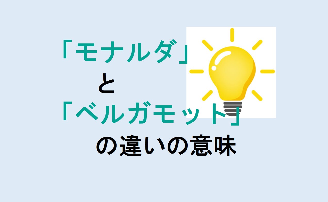 モナルダとベルガモットの違い