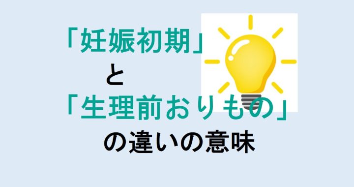 妊娠初期と生理前おりものの違いの意味を分かりやすく解説！