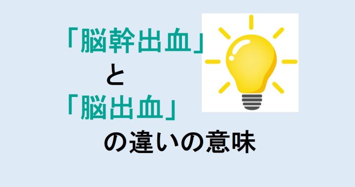 脳幹出血と脳出血の違いの意味を分かりやすく解説！