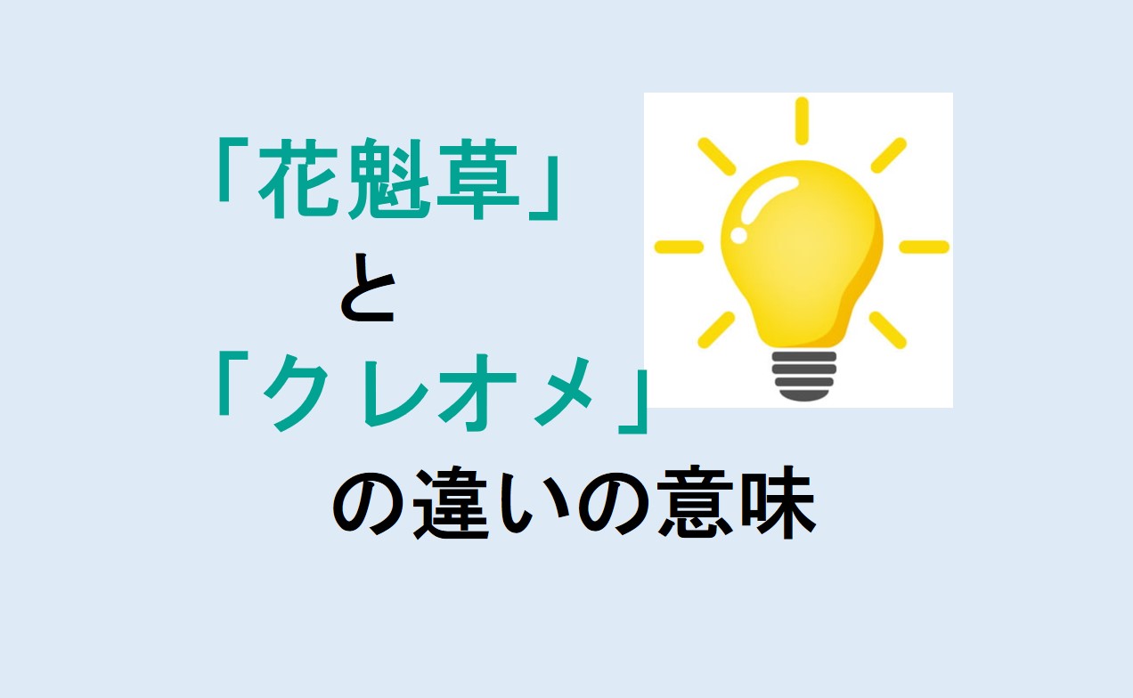 花魁草とクレオメの違い