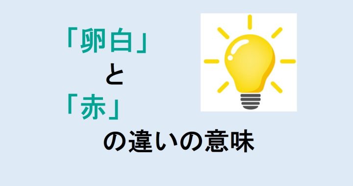 卵白と赤の違いの意味を分かりやすく解説！