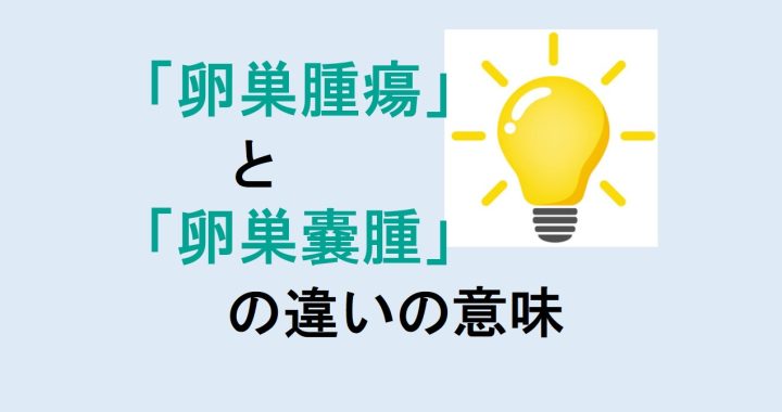 卵巣腫瘍と卵巣嚢腫の違いの意味を分かりやすく解説！