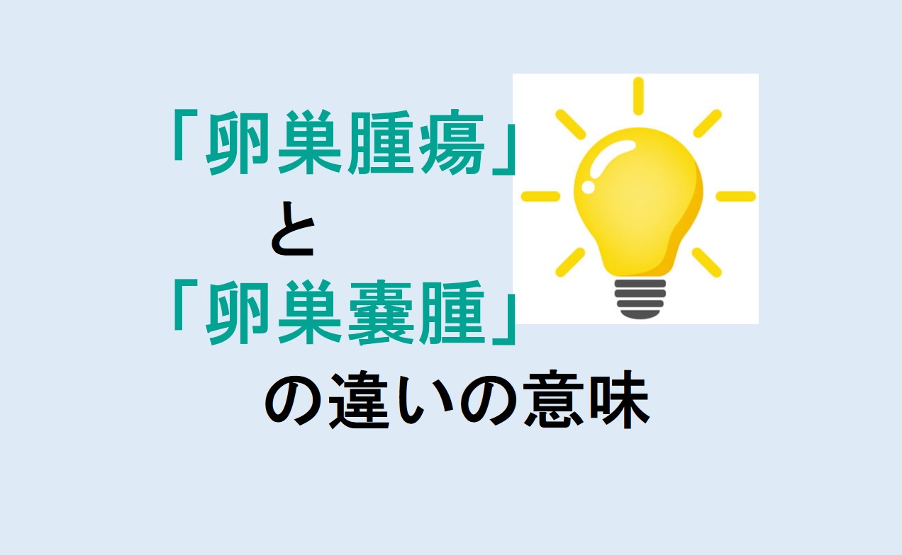 卵巣腫瘍と卵巣嚢腫の違い