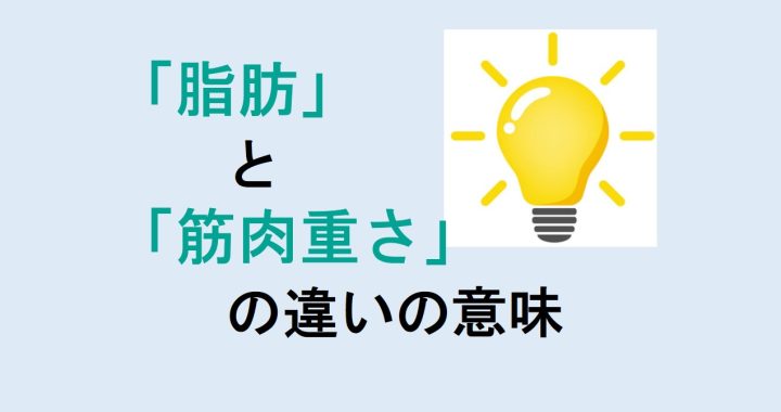 脂肪と筋肉重さの違いの意味を分かりやすく解説！