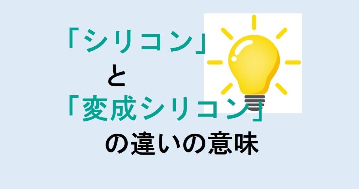 シリコンと変成シリコンの違いの意味を分かりやすく解説！