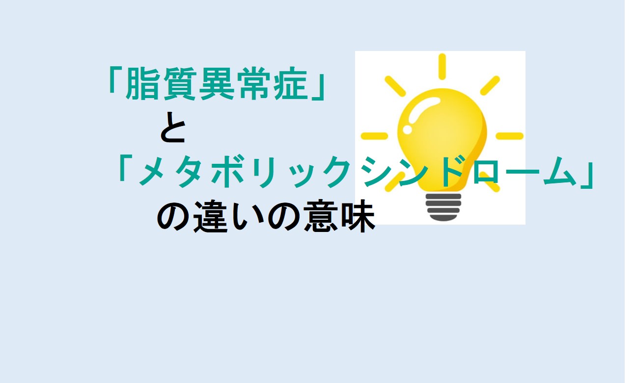 脂質異常症とメタボリックシンドロームの違い