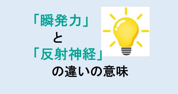 瞬発力と反射神経の違いの意味を分かりやすく解説！