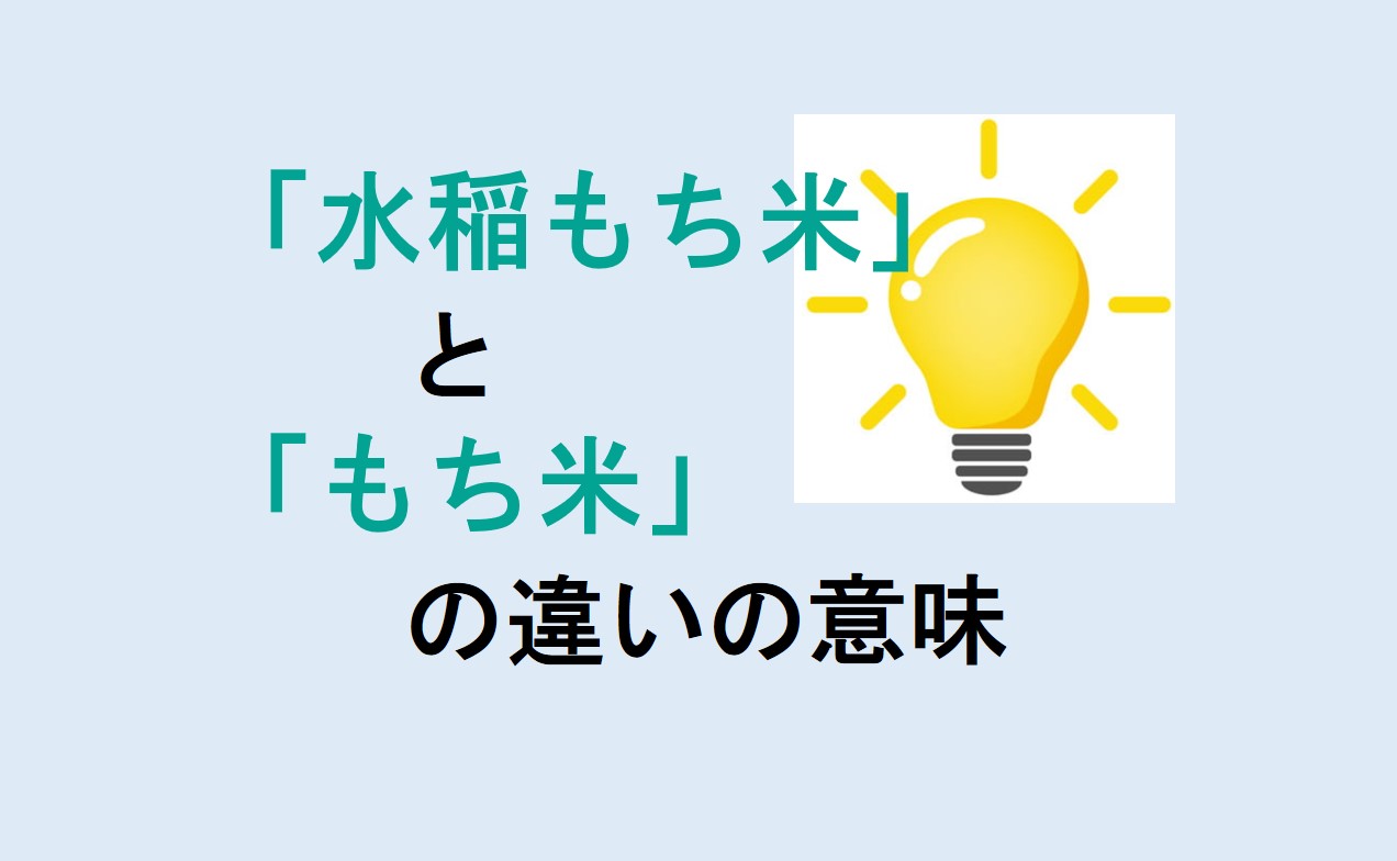 水稲もち米ともち米の違い