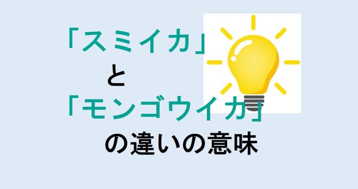 スミイカとモンゴウイカの違いの意味を分かりやすく解説！