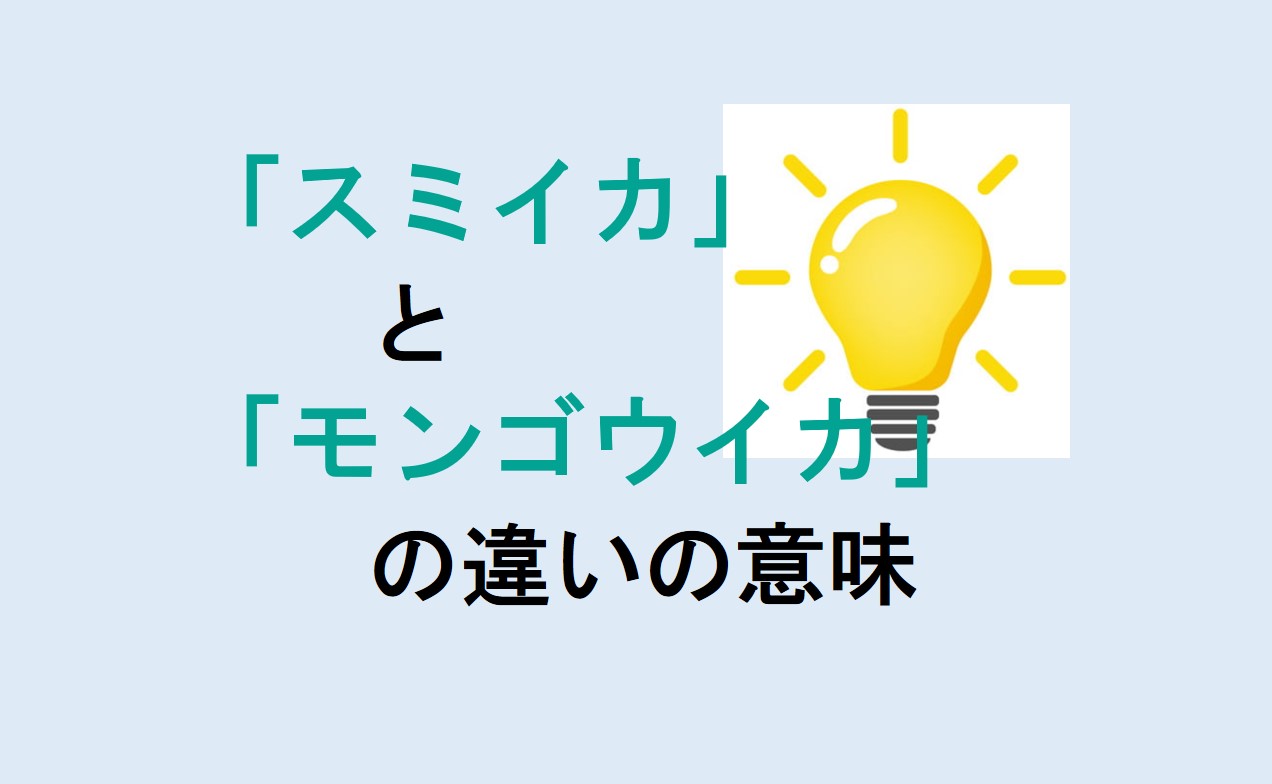 スミイカとモンゴウイカの違い