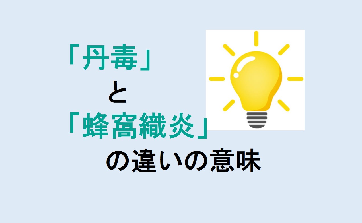 丹毒と蜂窩織炎の違い