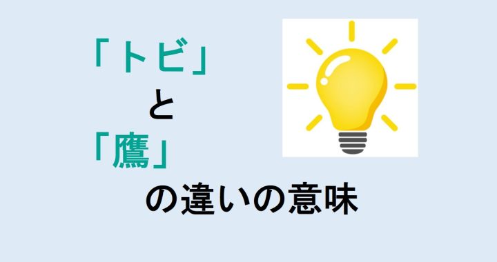 トビと鷹の違いの意味を分かりやすく解説！