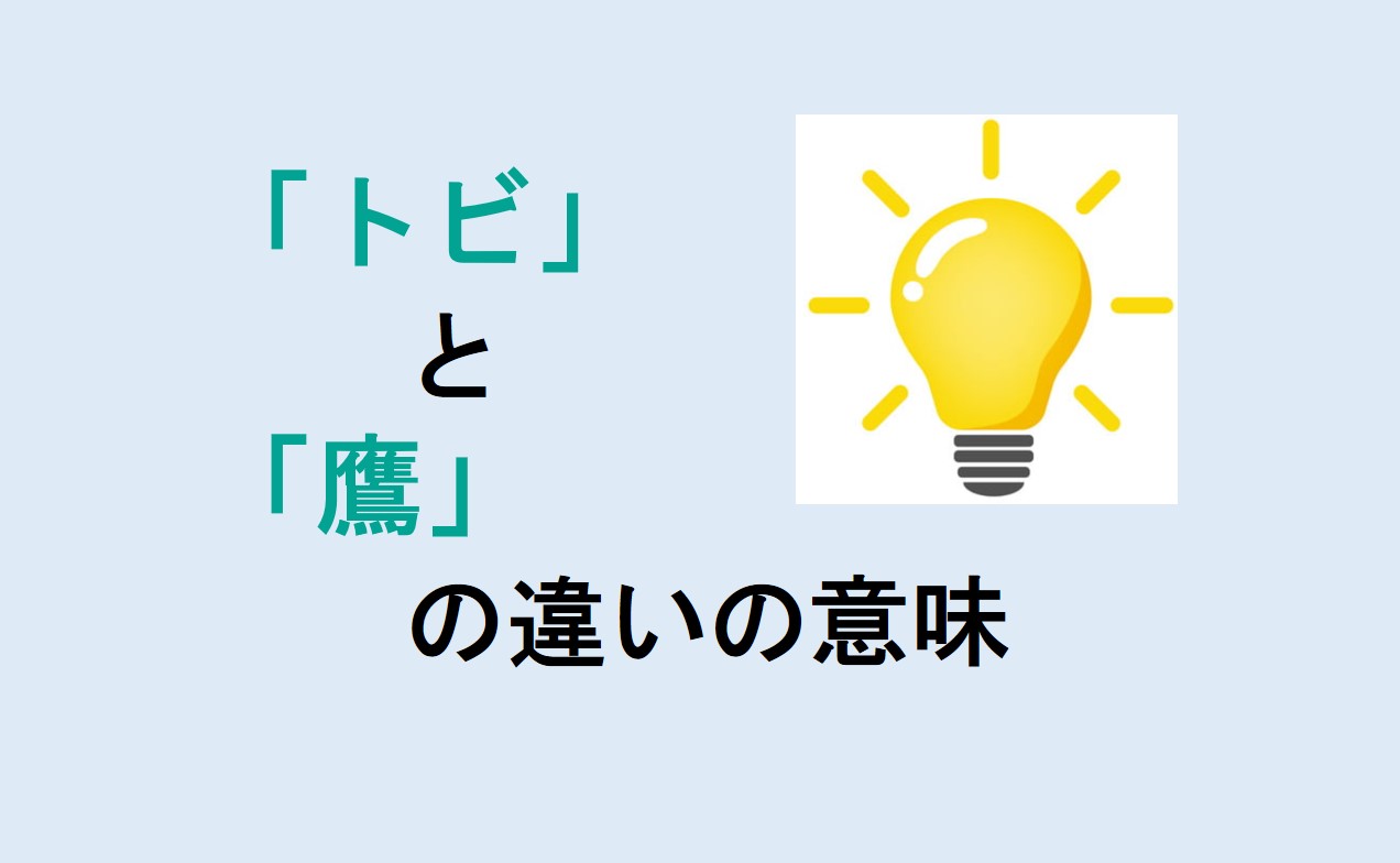 トビと鷹の違い