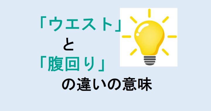 ウエストと腹回りの違いの意味を分かりやすく解説！