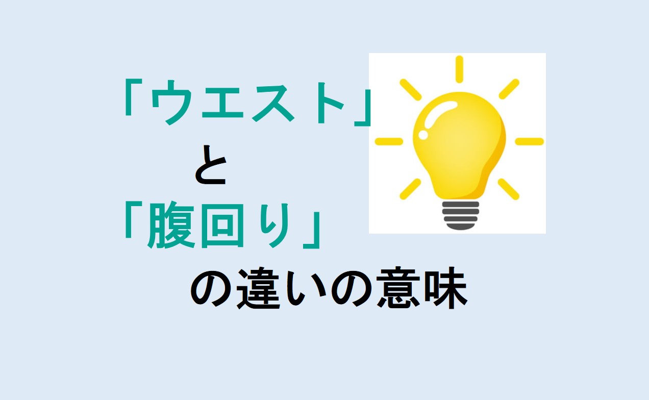 ウエストと腹回りの違い