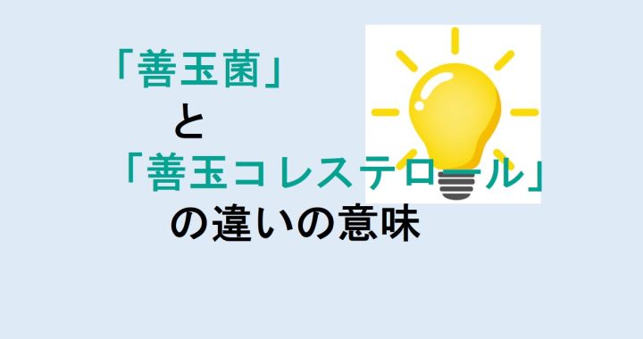 善玉菌と善玉コレステロールの違いの意味を分かりやすく解説！