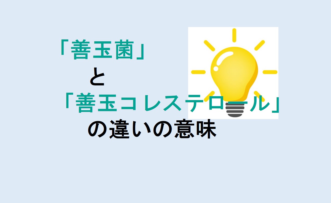 善玉菌と善玉コレステロールの違い